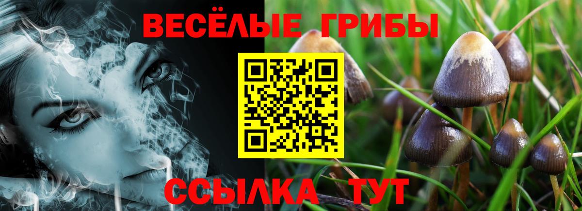 Коряжма  Галлюциногенные грибы MAGIC MUSHROOMS  Галлюциногенные грибы Cubensis  Вход с VPN 